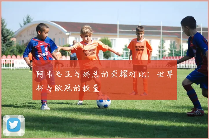 阿韦洛亚与姆总的荣耀对比：世界杯与欧冠的较量