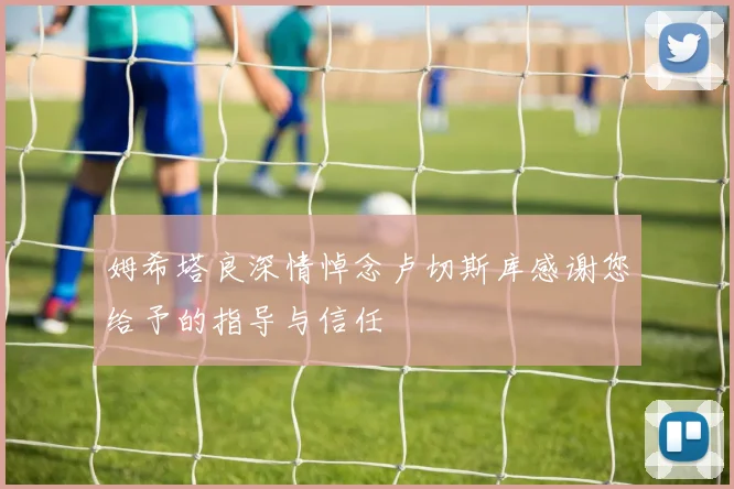 姆希塔良深情悼念卢切斯库感谢您给予的指导与信任